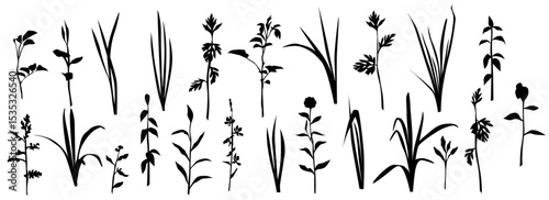 Silhouettes spring and summer forest and garden flowers, grass, black color isolated on white vector set. Illustration of the nature of the flower and grass in the garden