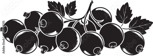 Blackcurrant Branch Silhouette Illustration Graphic