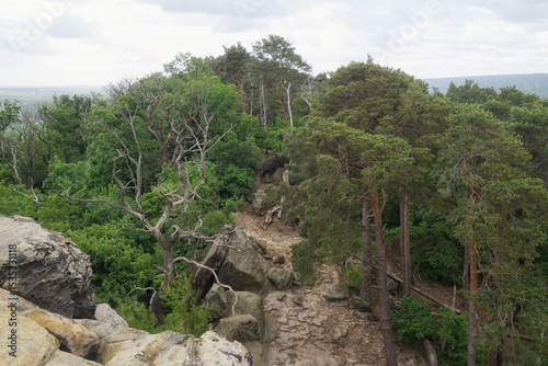 Blankenburg - Teufelsmauer, Blick vom Großvaterfelsen, Sachsen-Anhalt, Deutschland, Europa
