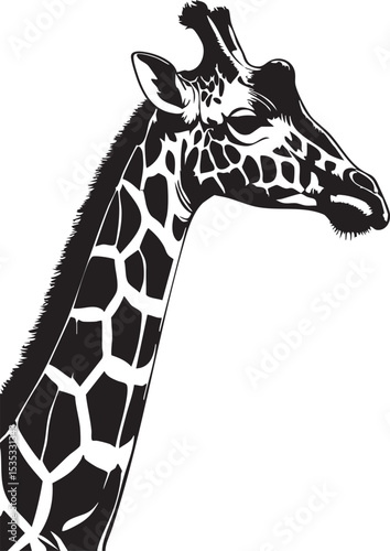 Elegant Black and White Giraffe Silhouette