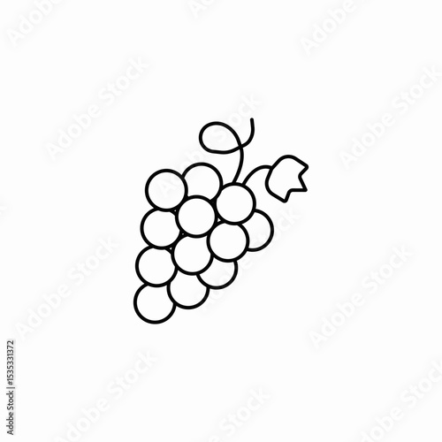 bunch of grapes icon sign vector