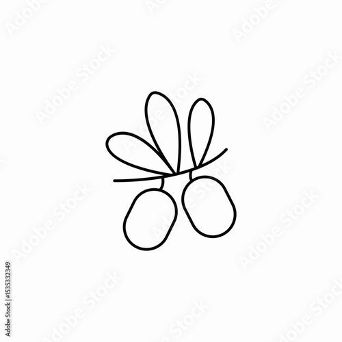 olive fruit pair icon sign vector