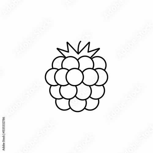 raspberry berry fruit icon sign vector