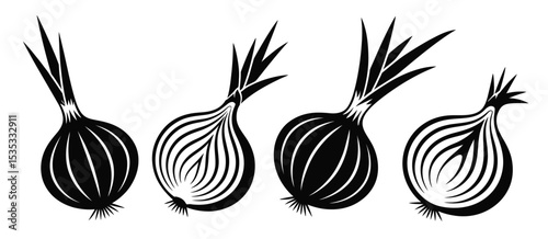 Four black and white onion illustrations