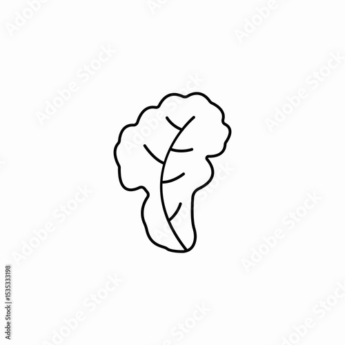 vegetable leaf green icon sign vector