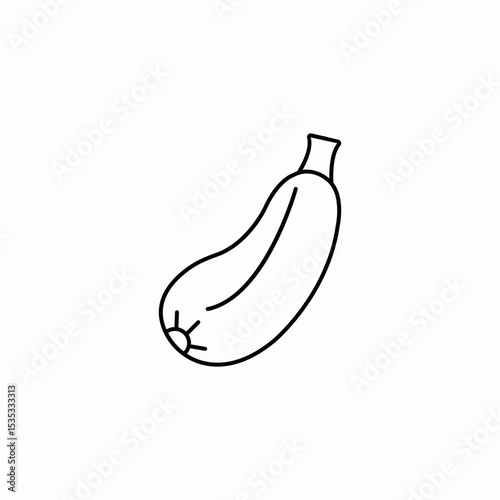 zucchini squash vegetable icon sign vector