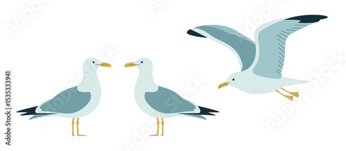Three seagulls illustration in pastel blue tones