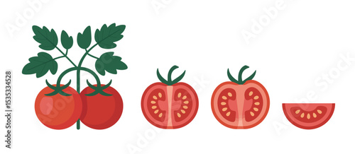 Fresh tomatoes on the vine with slices
