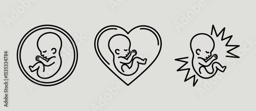 Fetus development stages line art illustrations