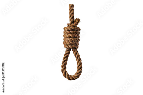 Close up of a hangman's noose tied in thick brown rope on a transparent background