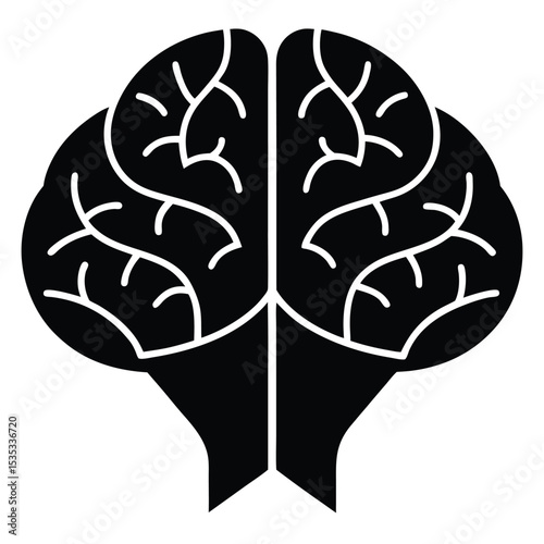 Human Brain Structure, Function, and Cognitive Processes