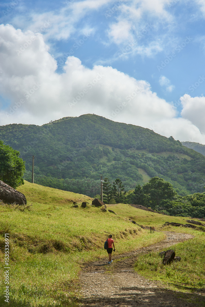 Fototapeta premium Beautiful European woman hiking in La Vallée de Ferney, Mauritius. Outdoor adventure in lush tropical forest with scenic mountain views. Active lifestyle and nature exploration.
