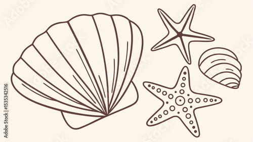 Hand drawn seashells and starfish elements in outline style with transparency suitable for designs
