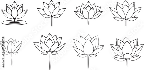 water lily lotus flower set line art vector illustration black color