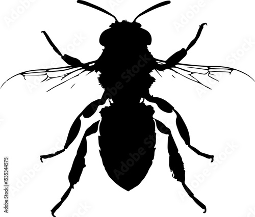 silhouette of a bee
