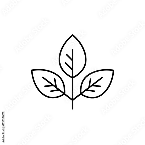 Simple line drawing of a leaf illustration on white background  