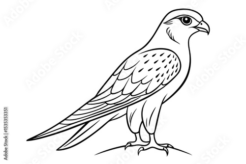 Kestrel Bird Outline in Line Drawing Vector