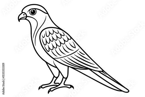 Bird of Prey Kestrel Line Illustration
