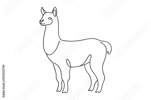 Cute Alpaca Line Drawing on White