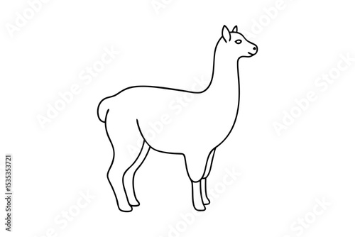 Simple Alpaca Illustration in Minimal Vector