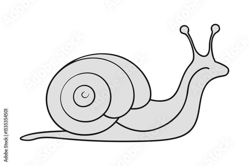 Elegant Snail Outline Vector on White