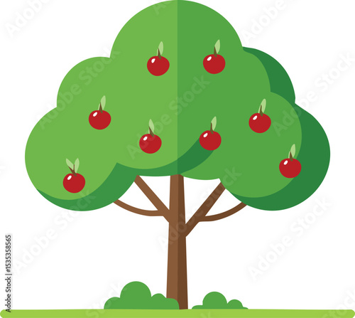 cherry tree vector illustration