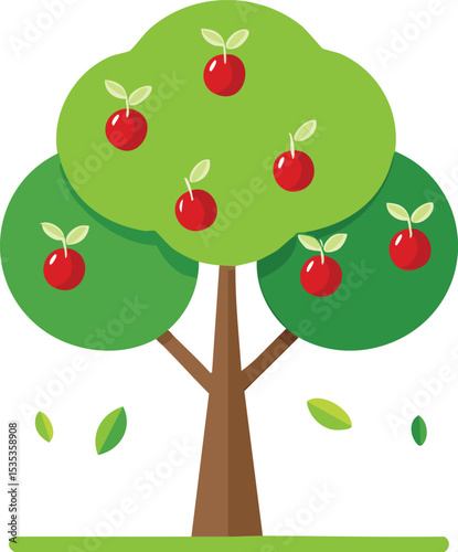 cherry tree vector illustration