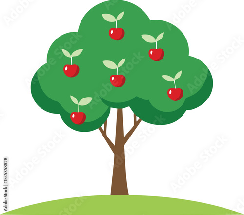 cherry tree vector illustration
