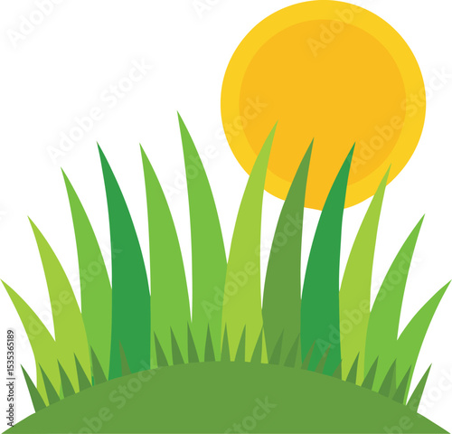 summer landscape with grass and sun
