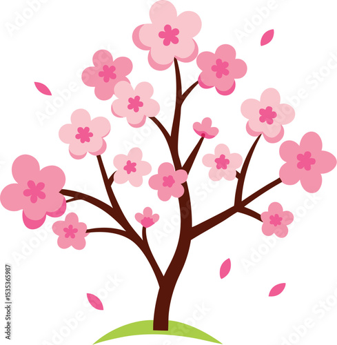 cherry blossom tree