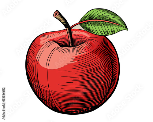 Vibrant Red Apple Illustration Fresh Fruit Engraving Style