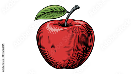 Engraved Red Apple Illustration A Detailed Vector Graphic