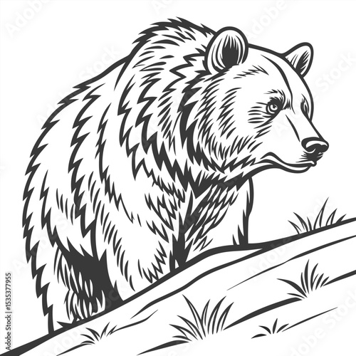 Detailed illustration of a grizzly bear in profile standing on a simple grassy hill
