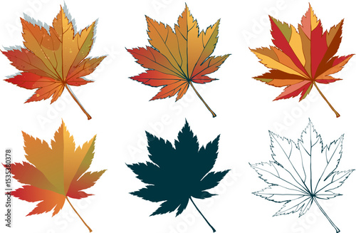 Set of hand-drawn fall colored autumn maple leaves isolated on white background. Flat and line styles vector illustration.