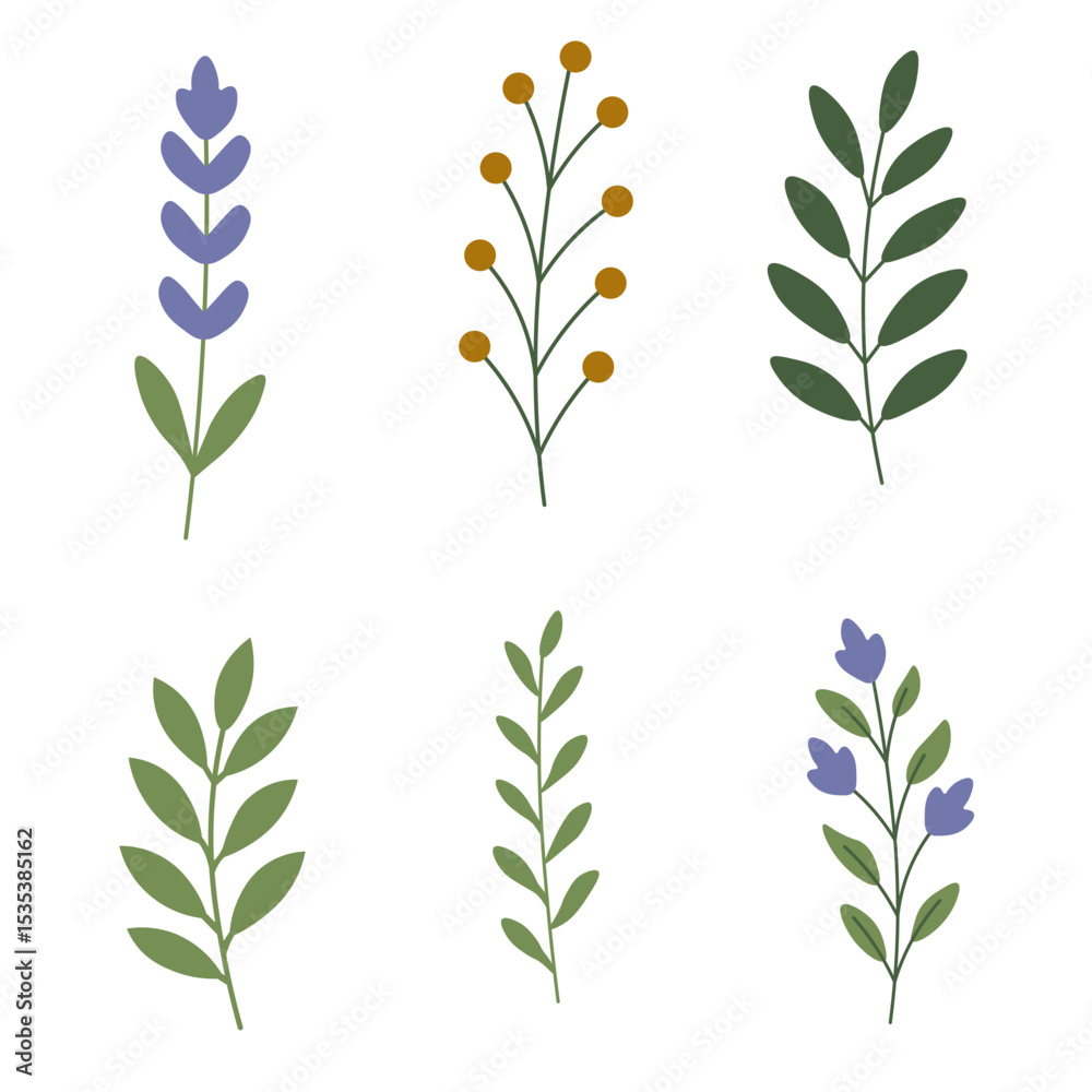 Fototapeta premium Flat Botanical Vector Elements Set – Leaves and Flowers Collection