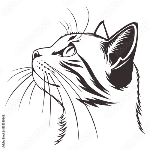Detailed monochrome illustration of a curious cat head looking upwards with elegant whisker details