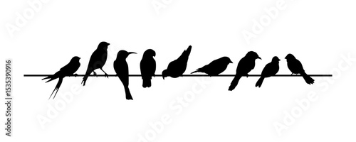 bird silhouettes on a wire