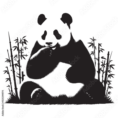 panda bear and bamboo