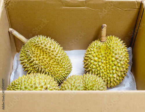 Freshly packed Long Lap Lae durian, a premium local durian variety from Uttaradit, Thailand, delivered straight from orchard to doorstep. Bought online is in package, brown cardboard box.