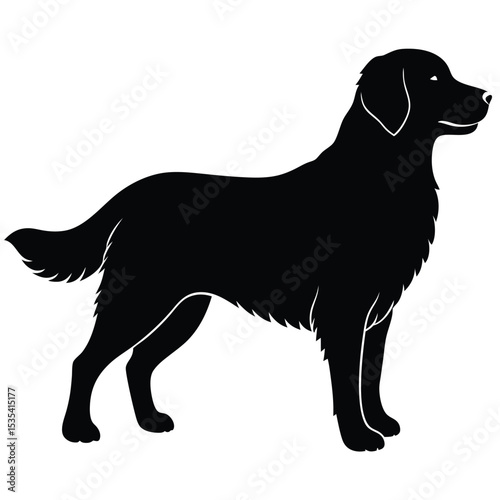 Silhouette of a golden retriever dog standing sideways in black and white with detail