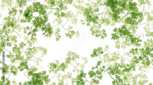 Digital-style parsley texture, Transparent background, PNG file