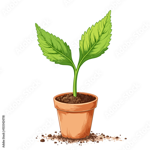 Seedling in Biodegradable Paper Cup on White Background, Eco-Friendly Growth