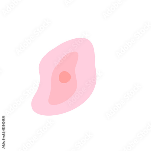 Skin Cell 