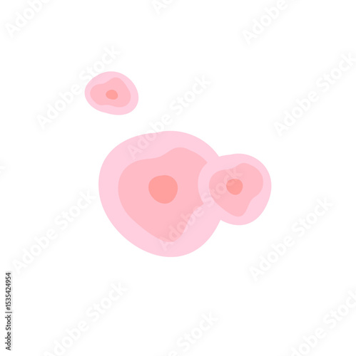 Skin Cell 