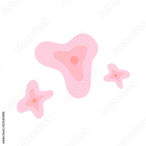 Skin Cell 