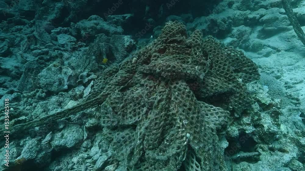 Abandoned fishing net tangled on a reef slope after a trawler wreck in the Red Sea. Underwater wide shot showing plastic pollution. Check my portfolio for more pollution footage.