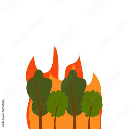 Natural Disaster Forest Fire