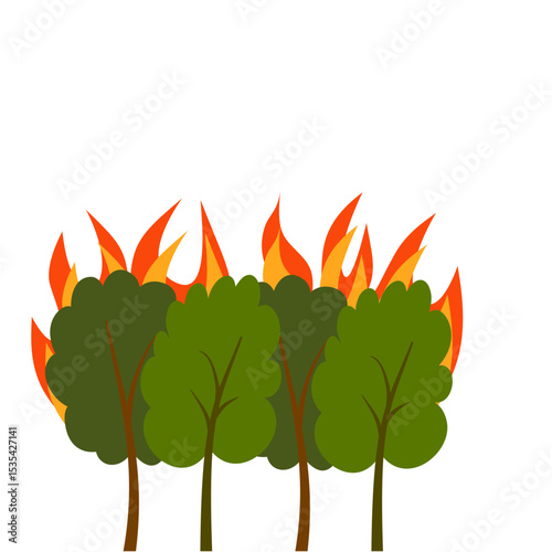 Natural Disaster Forest Fire