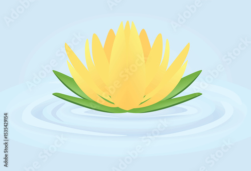 Yellow  lotus isolated. vector illustration	