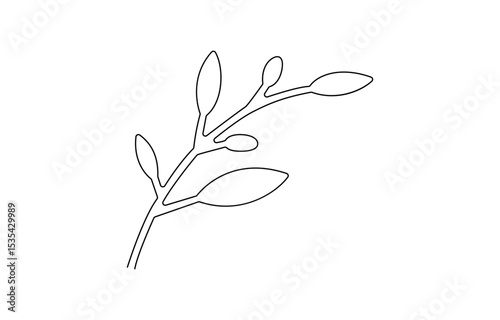 Olive Brunch Vector Illustration. Fruit, Green, Mediterranean Cuisine, Single continuous line drawing of organic olive fruit brunch. Modern one line draw.